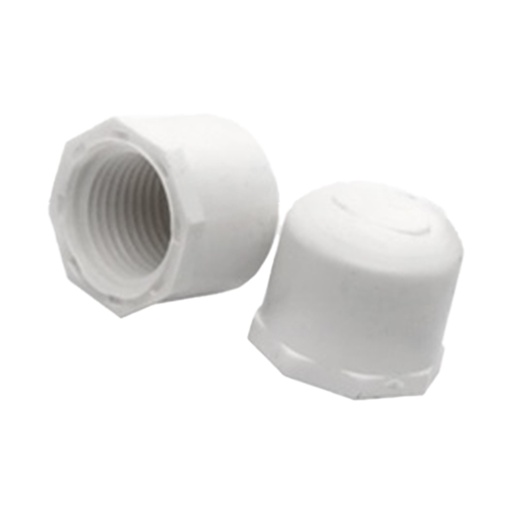 [1680K] TAPON ROSCA 1/2 PVC PQT X 2 UDUKE